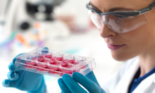 ��������� ������, ����� ����� �� �������� �������� ������