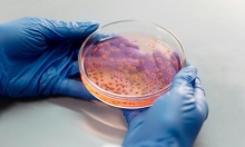 ����������� ������������� �� �������������� � ����������� ����