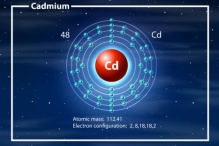 ������ - �������� �� ��������� � ���������