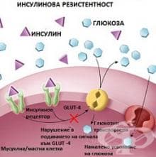 Метаболитни нарушения