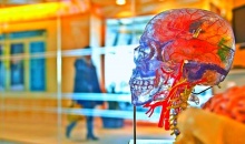 6 �������������� �������, ����� ����������� �� ���������