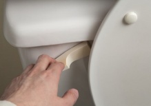 ������ �� ����������� ���� 16 ���� � �������������